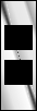 Chief Warrant Officer 2